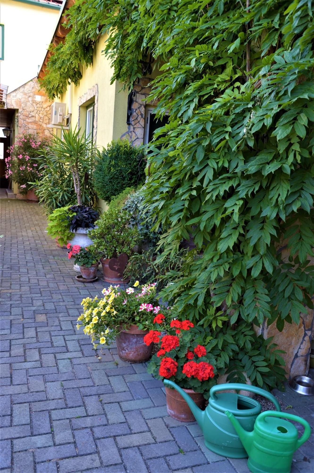 Ferienwohnung Koppi Pamhagen Exteriér fotografie