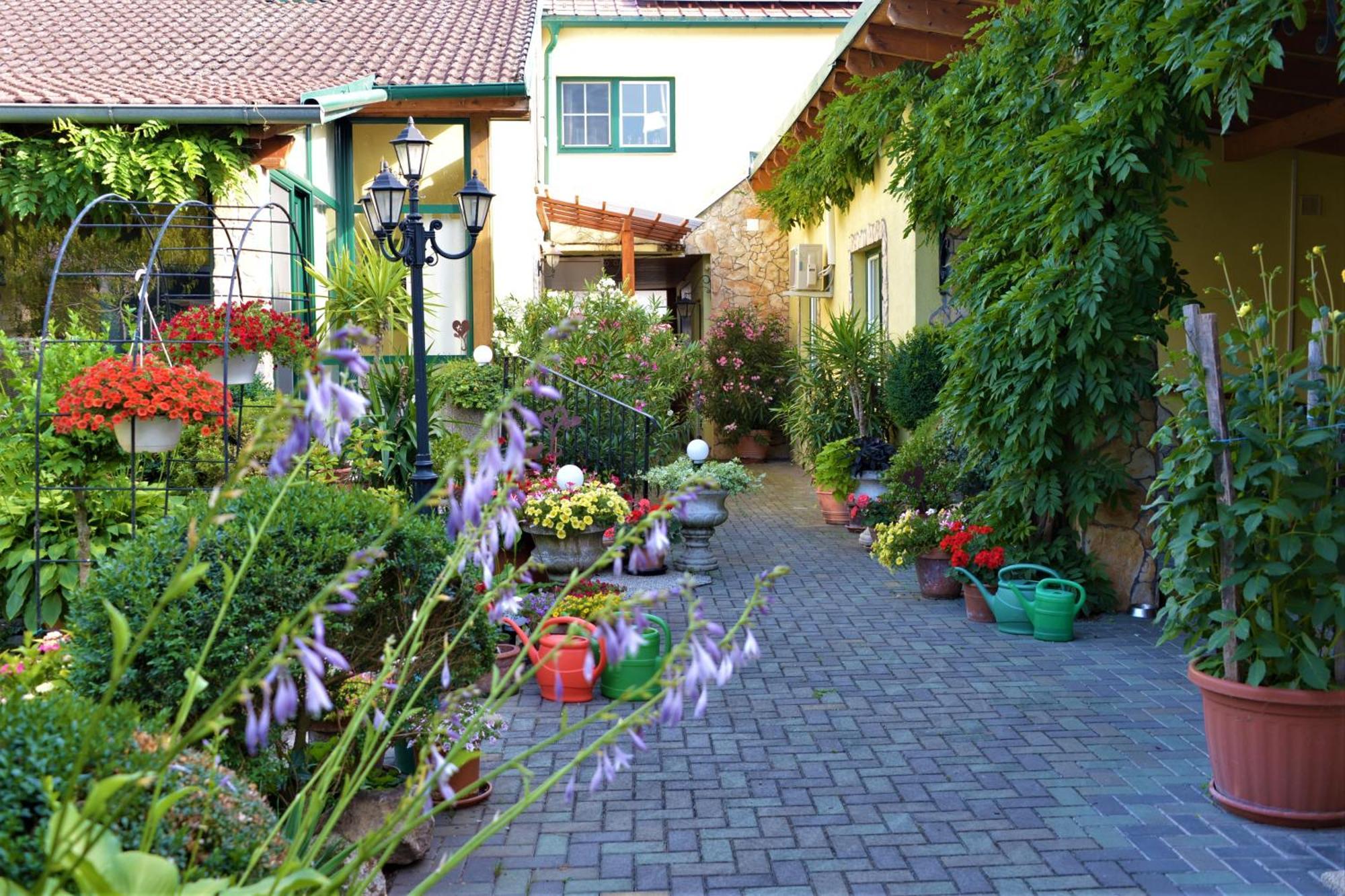 Ferienwohnung Koppi Pamhagen Exteriér fotografie