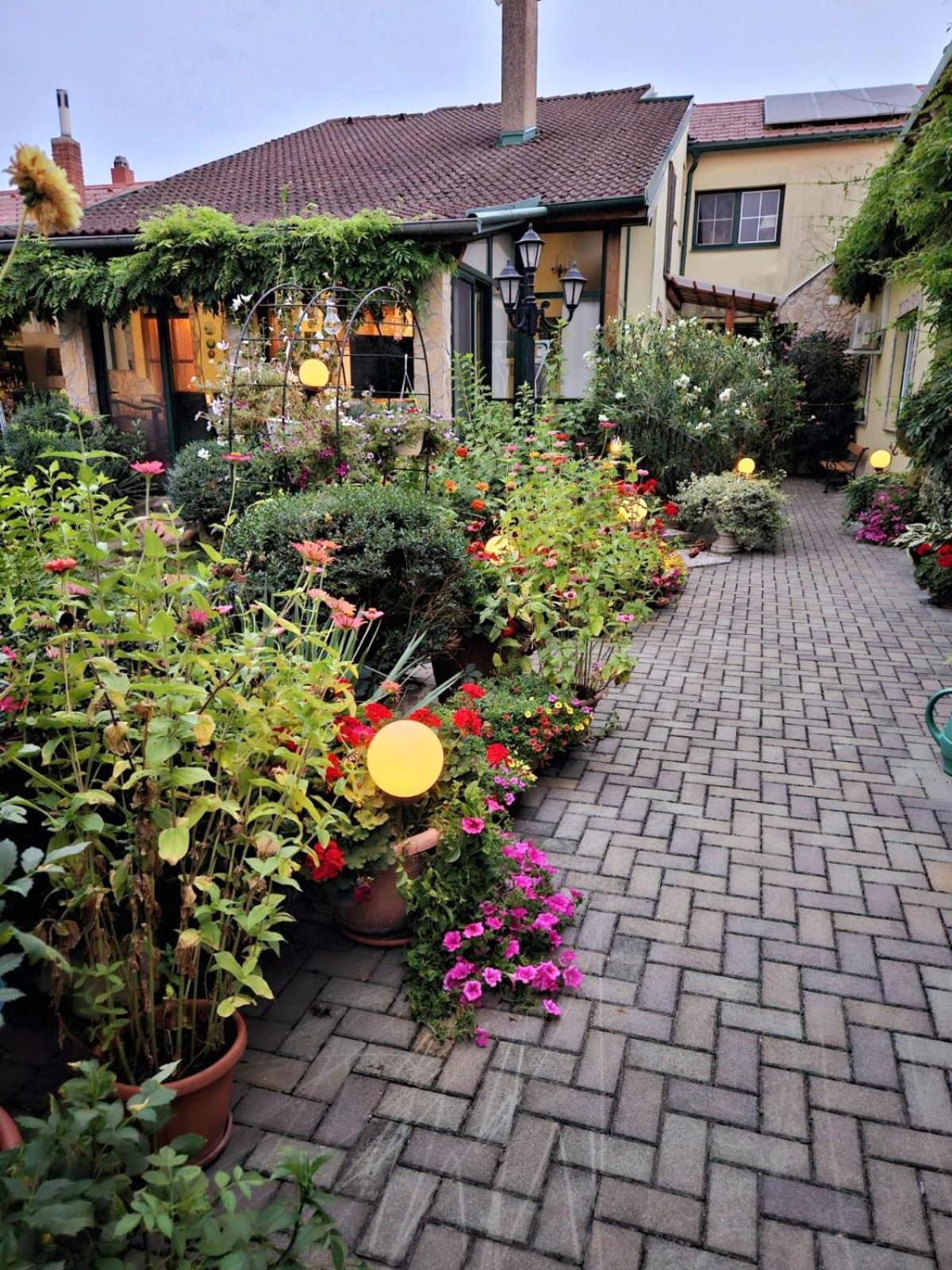 Ferienwohnung Koppi Pamhagen Exteriér fotografie