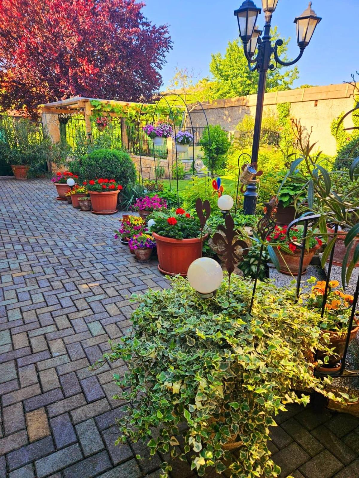 Ferienwohnung Koppi Pamhagen Exteriér fotografie