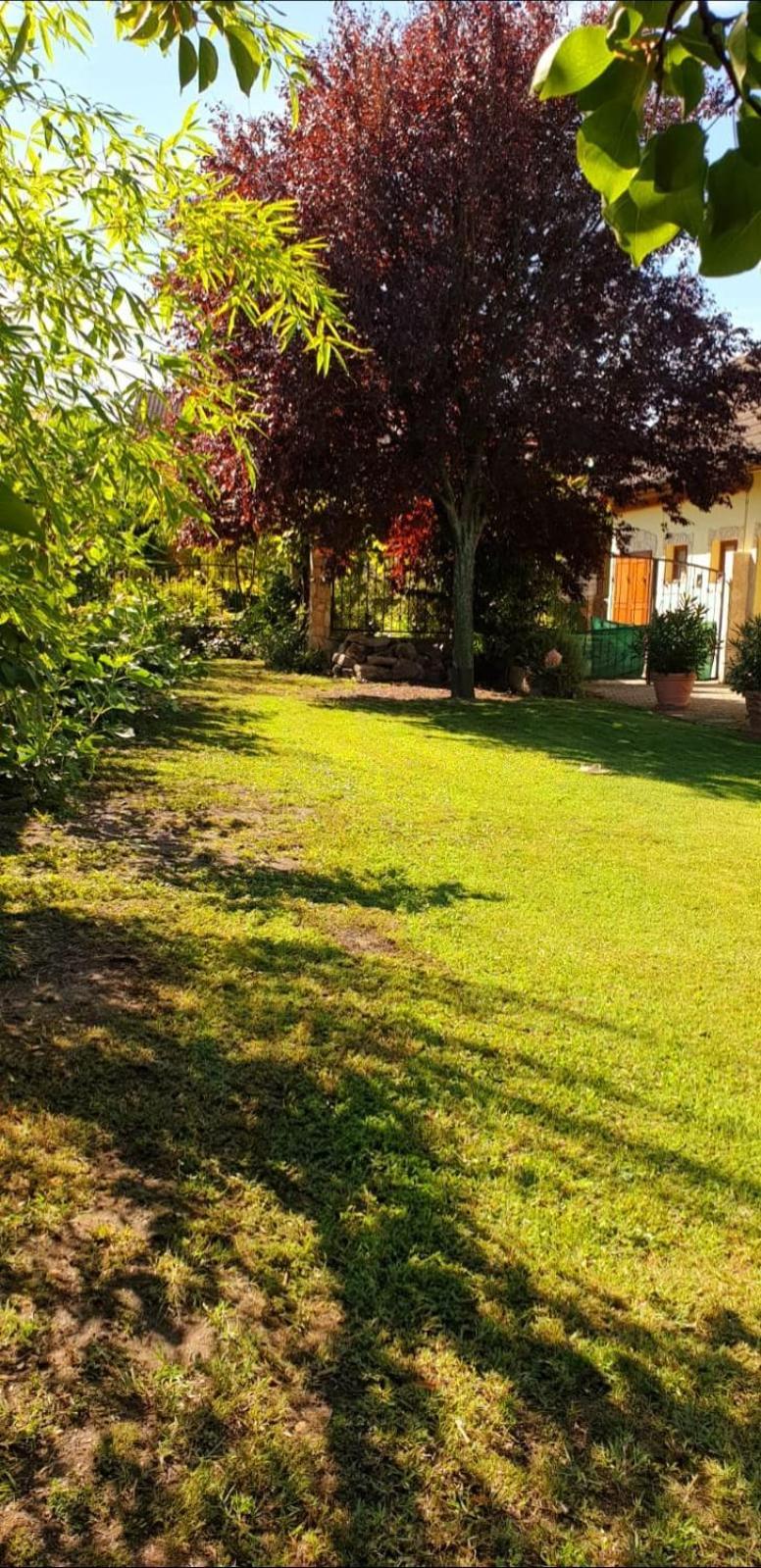 Ferienwohnung Koppi Pamhagen Exteriér fotografie