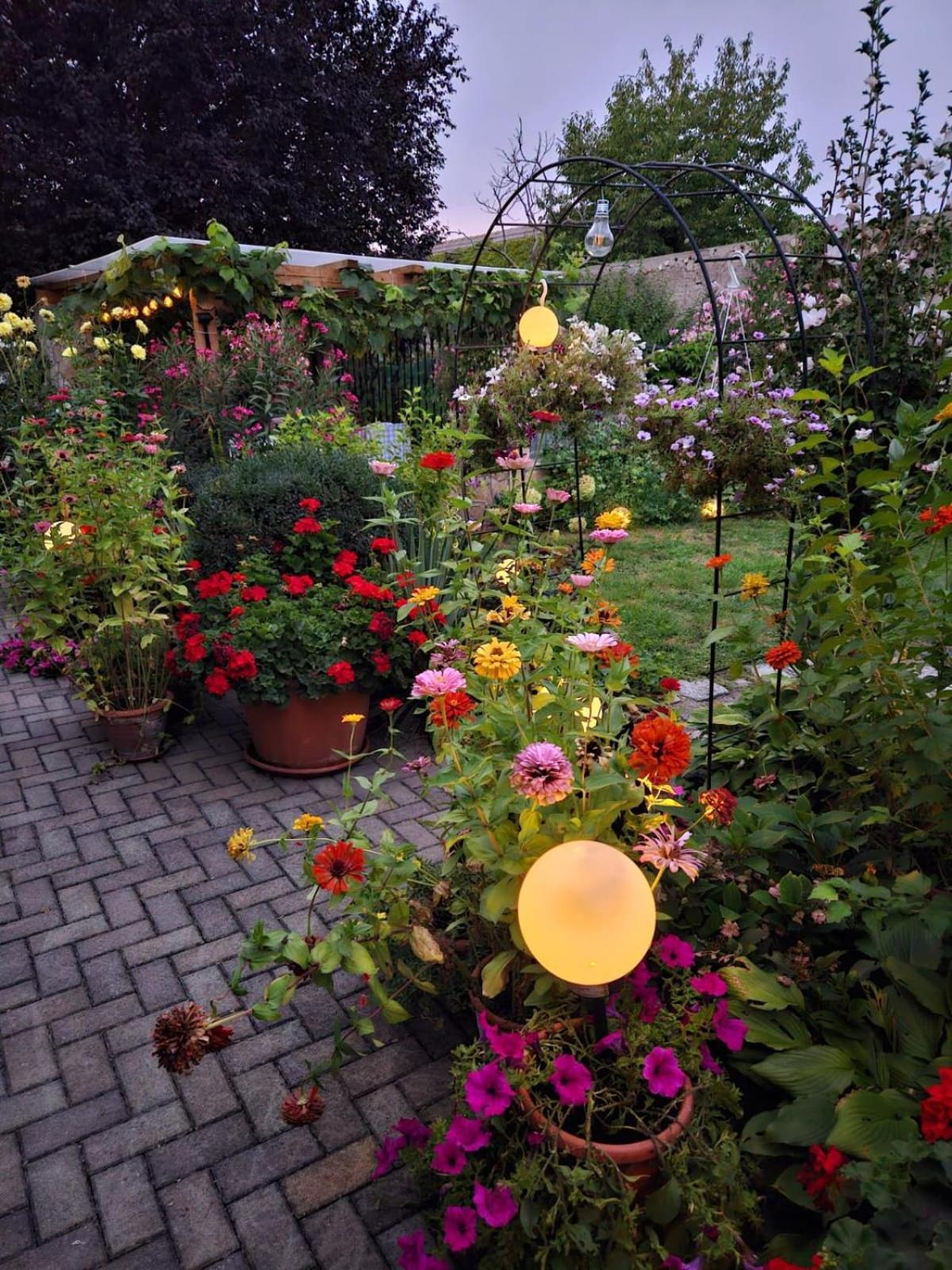 Ferienwohnung Koppi Pamhagen Exteriér fotografie