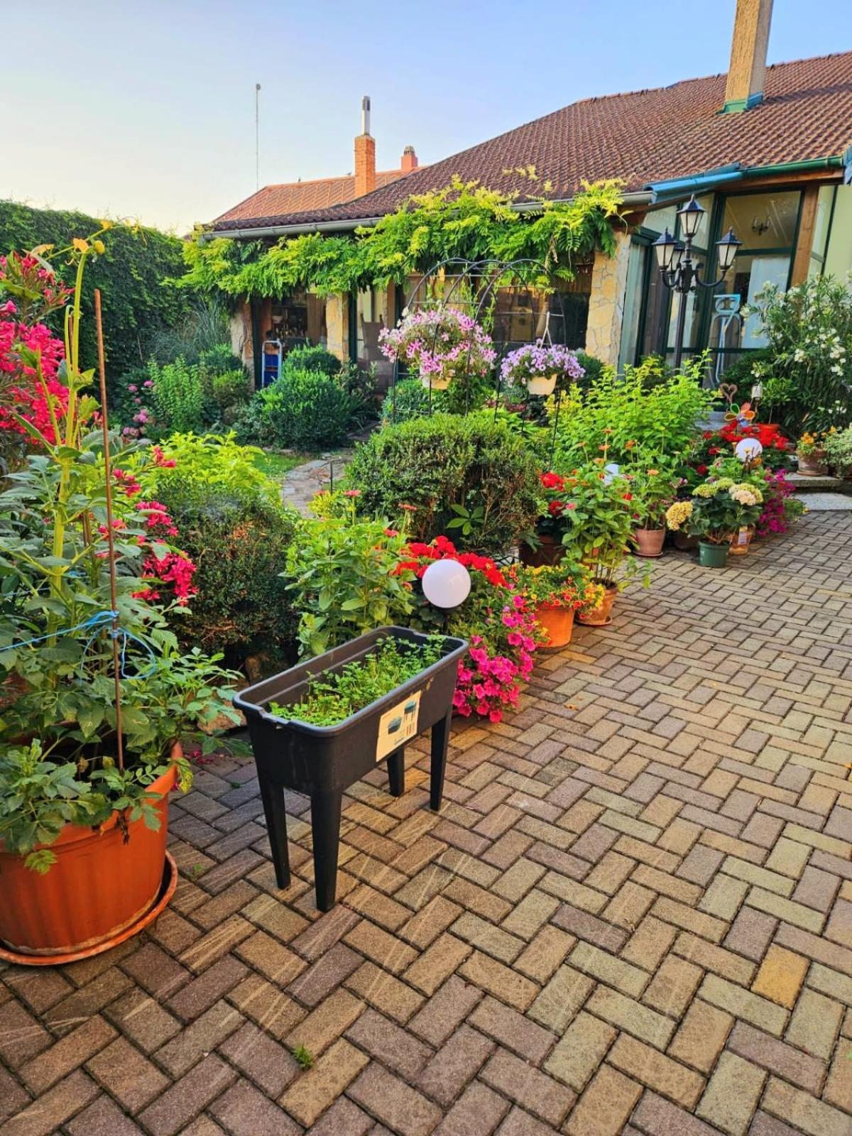 Ferienwohnung Koppi Pamhagen Exteriér fotografie