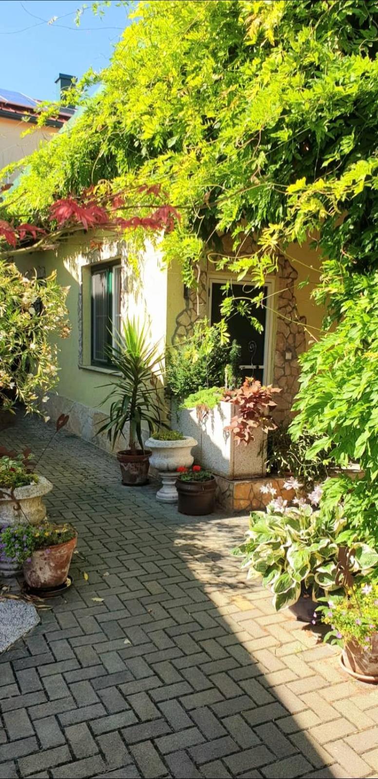 Ferienwohnung Koppi Pamhagen Exteriér fotografie