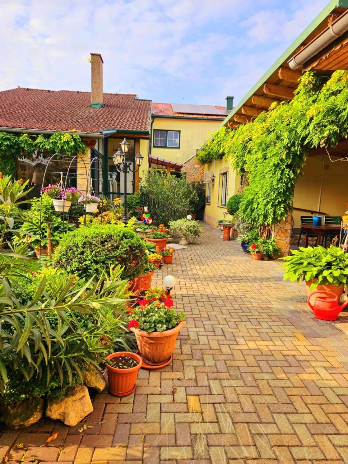 Ferienwohnung Koppi Pamhagen Exteriér fotografie