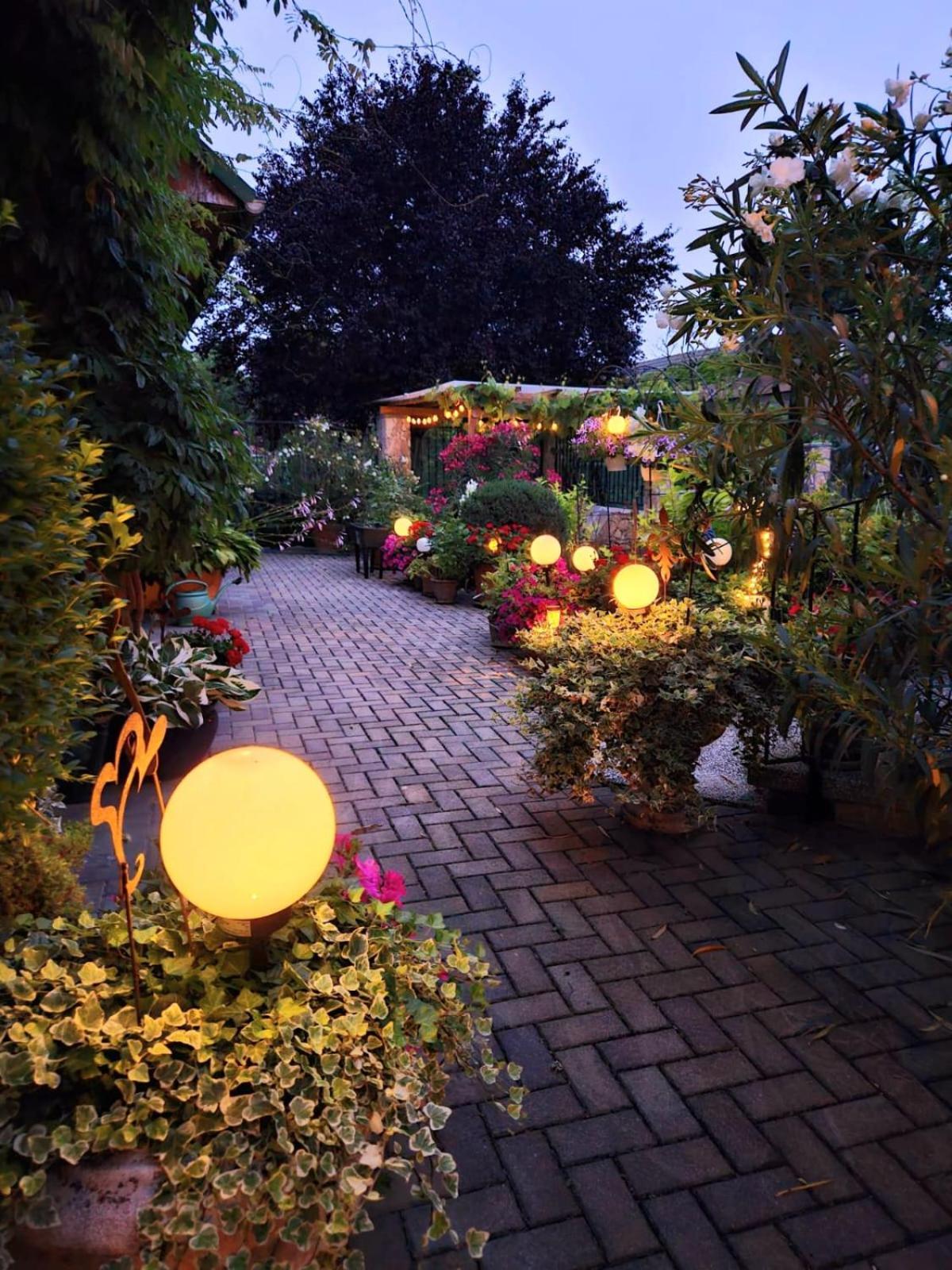Ferienwohnung Koppi Pamhagen Exteriér fotografie