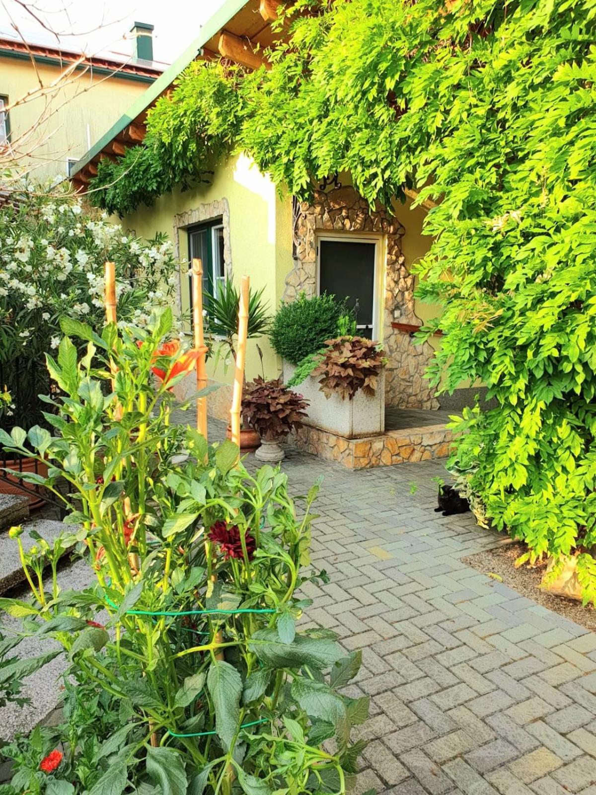 Ferienwohnung Koppi Pamhagen Exteriér fotografie