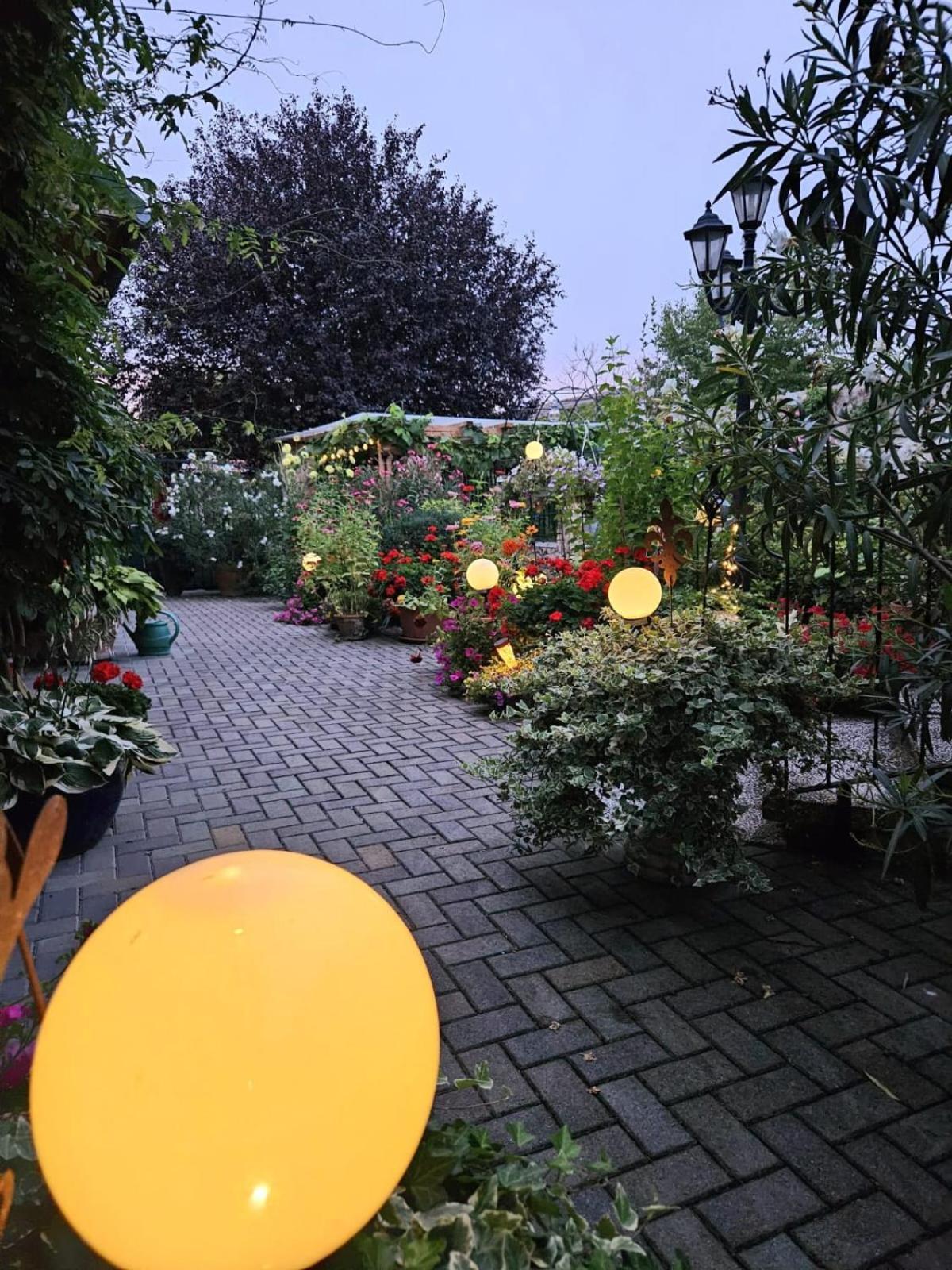 Ferienwohnung Koppi Pamhagen Exteriér fotografie
