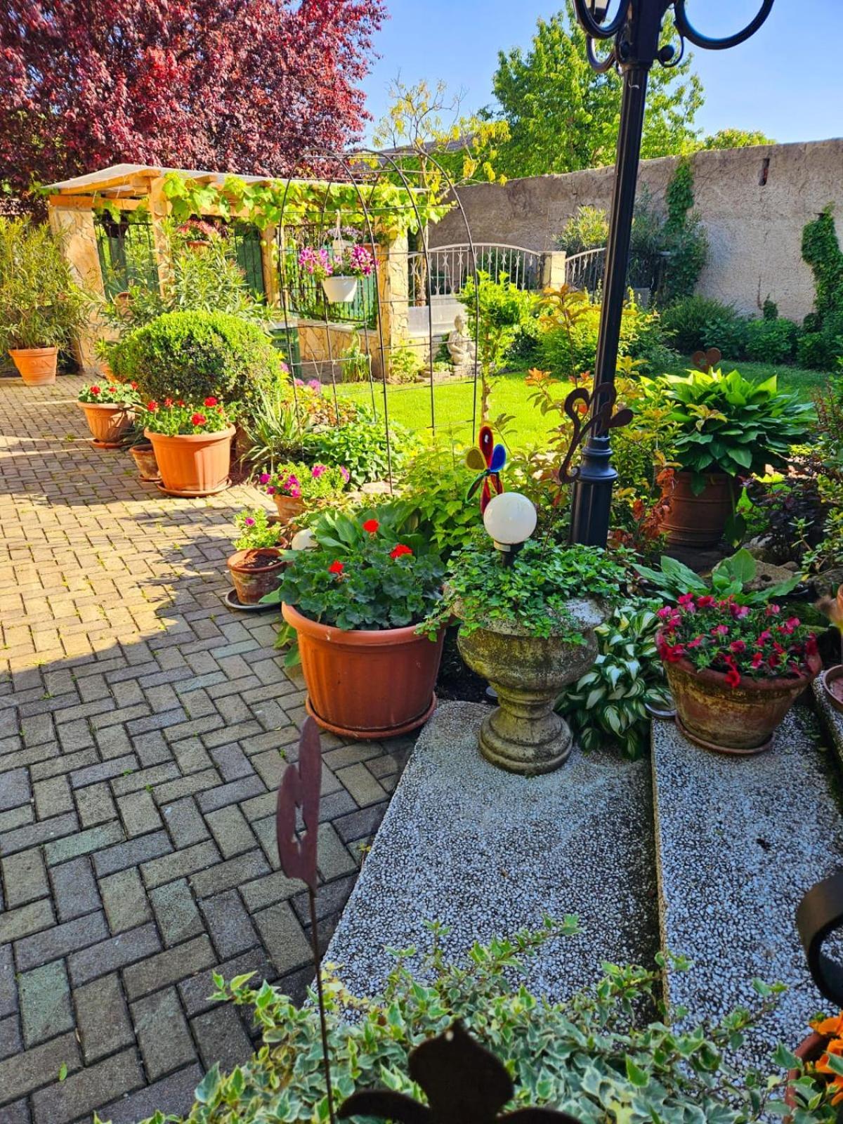Ferienwohnung Koppi Pamhagen Exteriér fotografie