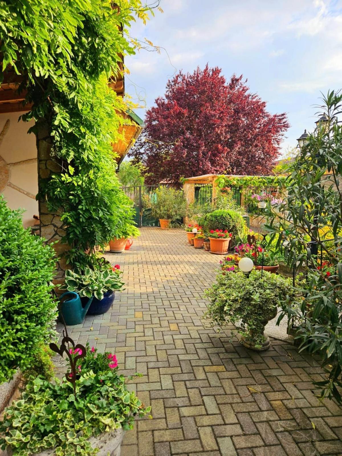 Ferienwohnung Koppi Pamhagen Exteriér fotografie
