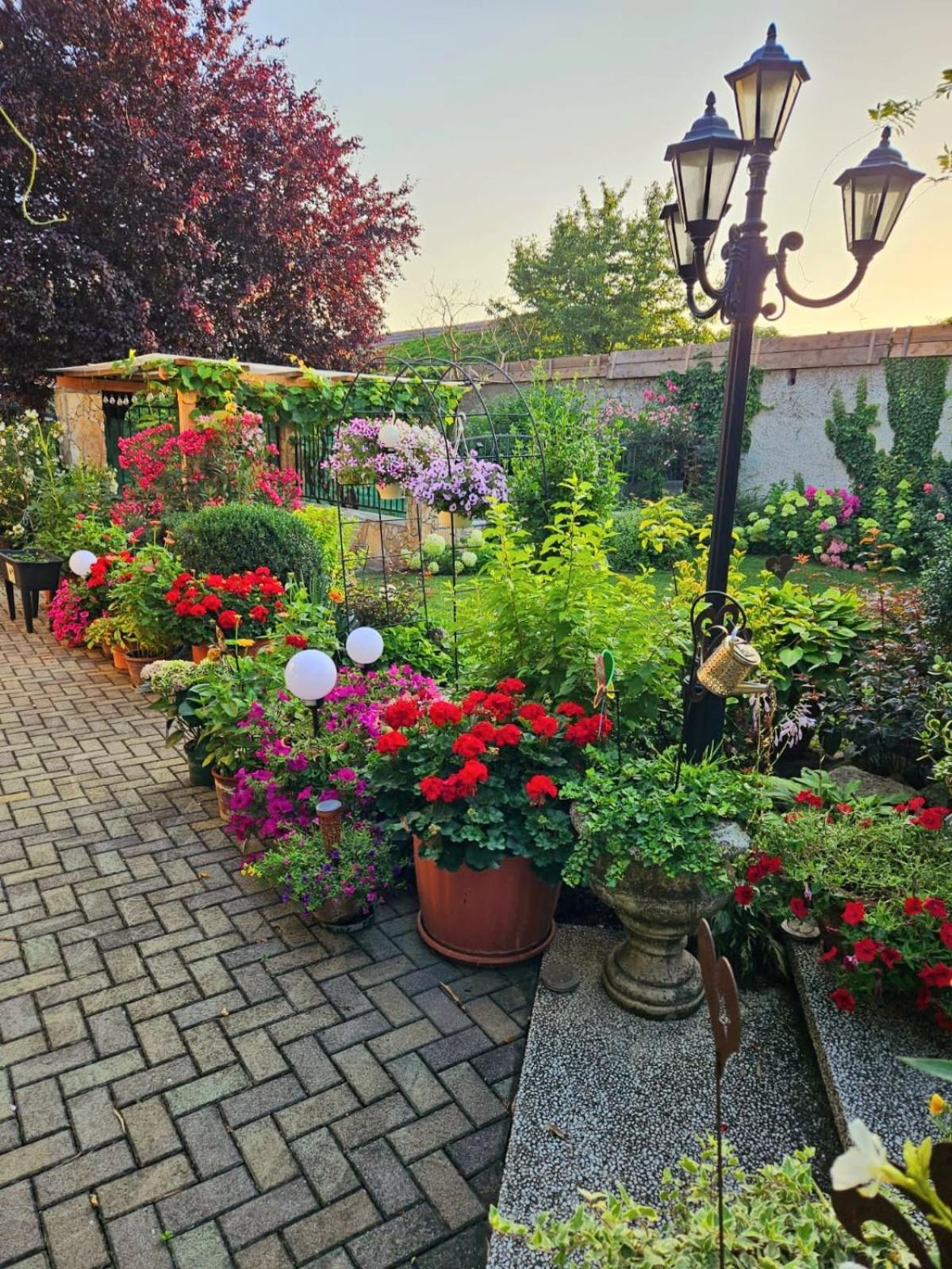 Ferienwohnung Koppi Pamhagen Exteriér fotografie