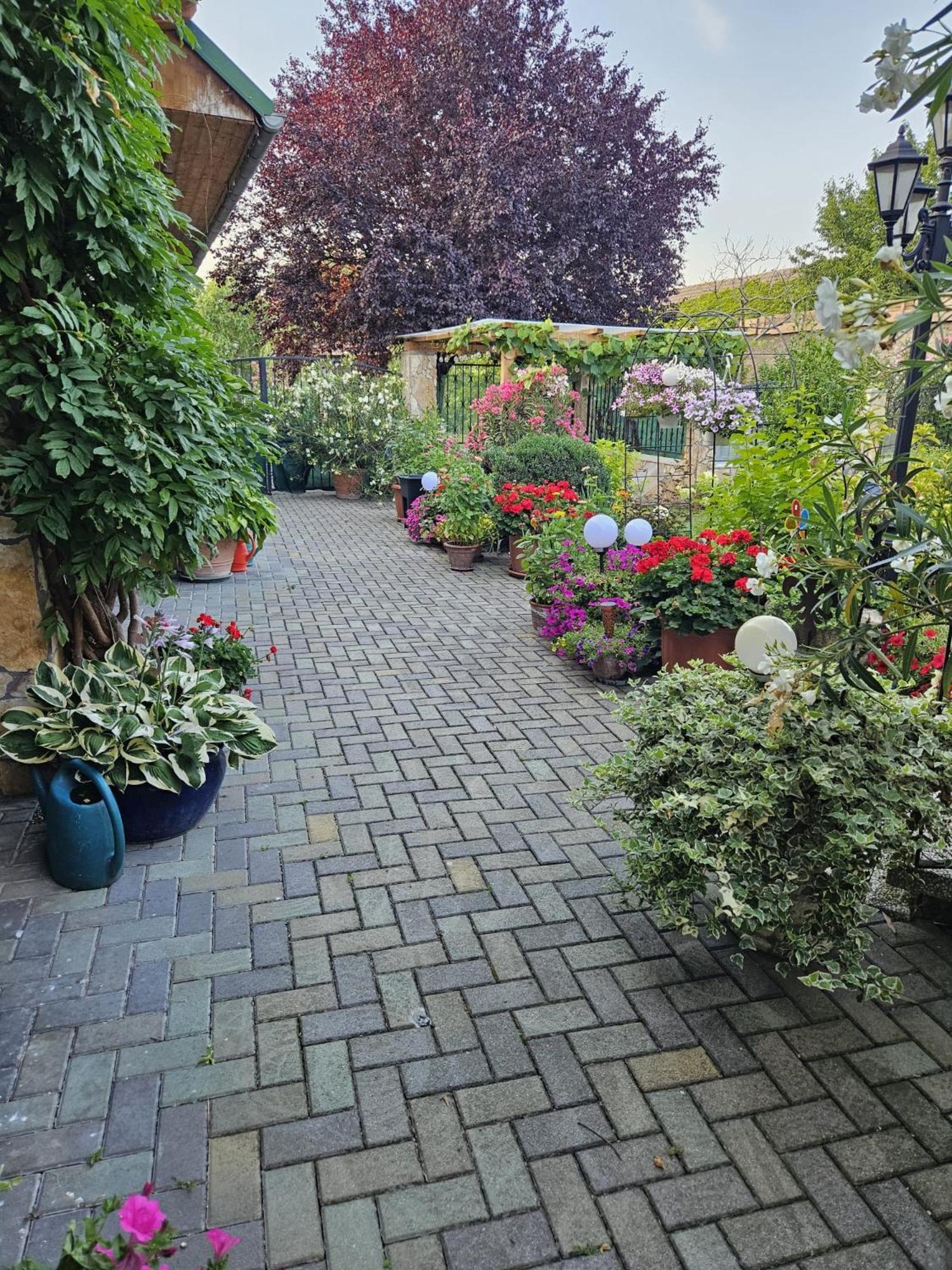Ferienwohnung Koppi Pamhagen Exteriér fotografie